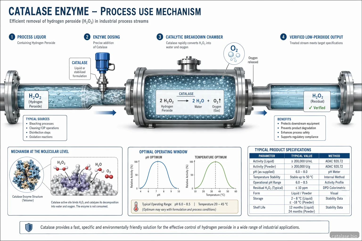 catalase enzyme production for industrial applications: process diagram of hydrogen peroxide breakdown conditions